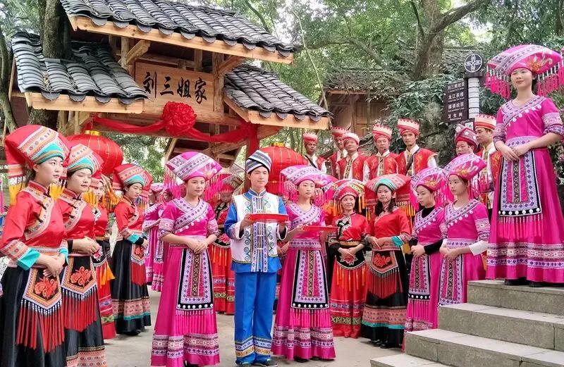 广西巴马旅游宣传方案,广西巴马长寿旅游推介会