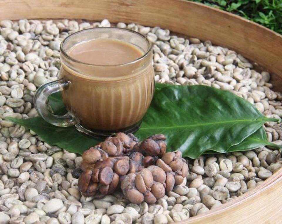 哪个国家的猫屎咖啡最好,猫屎咖啡的介绍和价钱