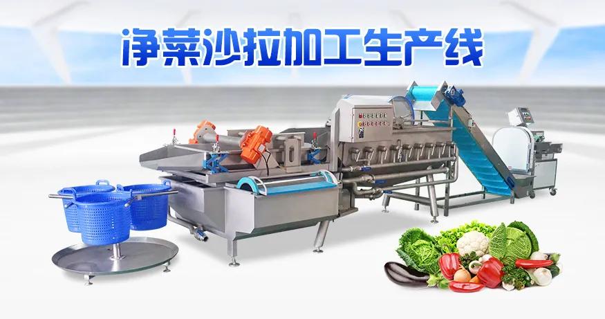 连续式真空脱水机,连续式果蔬脱水机