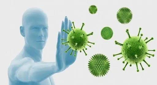 为什么补充蛋白质会提高免疫力,合理补充蛋白质能提高人体免疫力