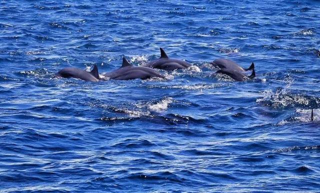 普通人不跟团去贵州玩要多少钱,去国外旅游不跟团可以吗
