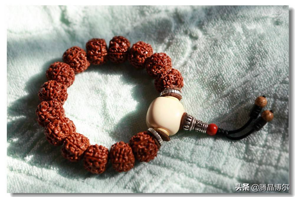 你知道金刚菩提手串怎么盘玩吗？你知道金刚菩提几瓣的最贵吗？