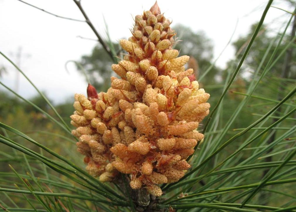 但使主人能醉客的下一句诗句,但使主人能醉客后面一句