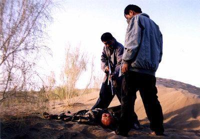 中国十大悍匪白宝山落网记,新中国第一悍匪白宝山案件纪实