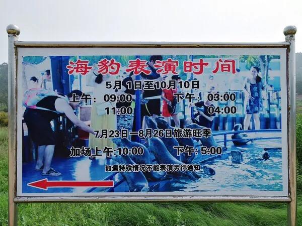 山东长岛自助游攻略,山东长岛游玩攻略视频