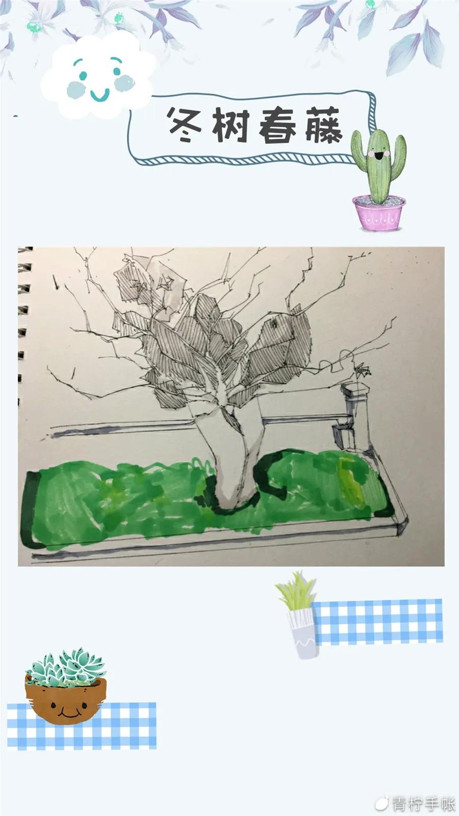 我眼中的福州外国语学校,福州市外国语学校