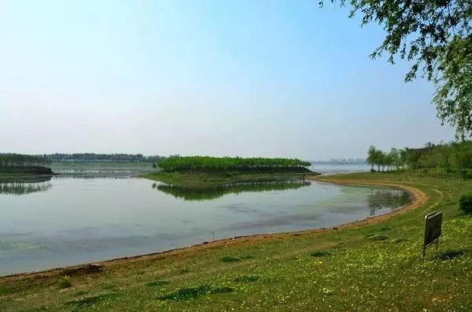 辽宁6名小学生溺亡事件,辽宁学生溺亡