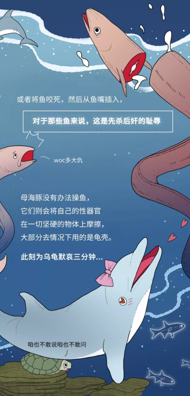 动物怎么上飞机,动物是如何乘坐飞机的