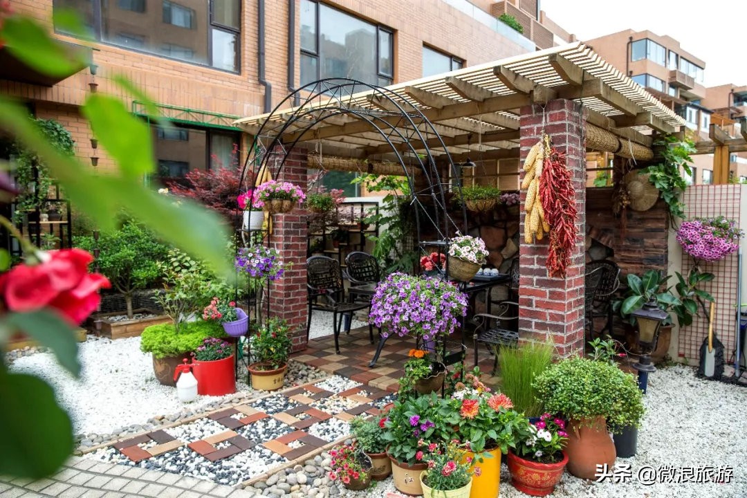 白鹭湾的“选美大赛”，谁是你心中最美的“姑娘”