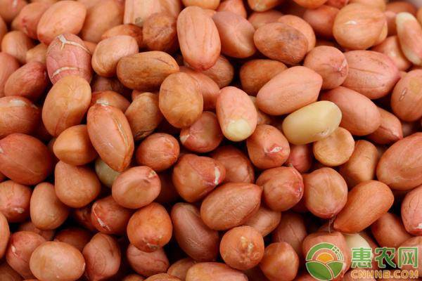 农村加工型项目创业推荐,农村加工创业项目