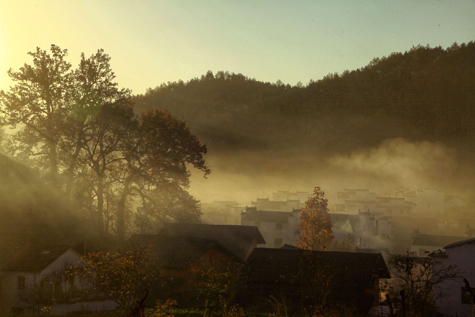 江西成了网红打卡点,江西婺源的古老村落真的太好拍了