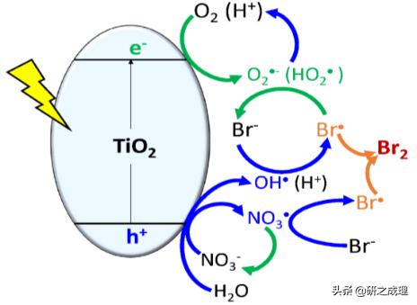 鍌寲鍛ㄦ姤,鍌寲蹇姤鏈熷垔