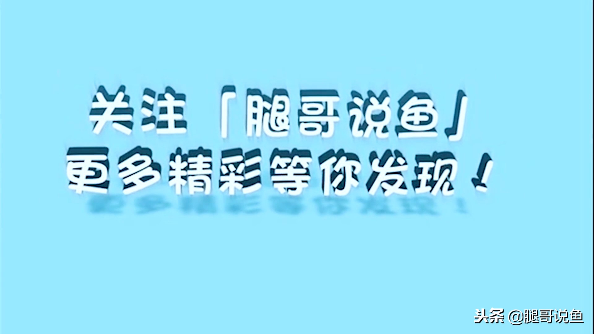 斑马狗头鱼饲养方法小视频,斑马狗头鱼怎么养新手视频