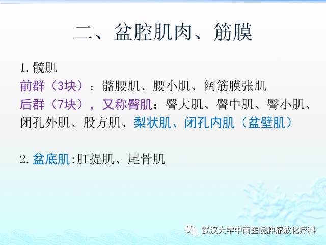 女性盆腔解剖与断层影像