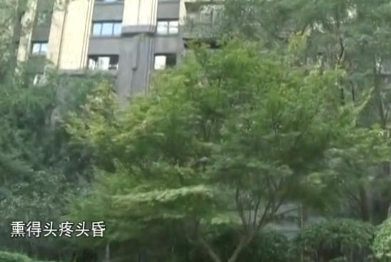 万达公馆物业滞纳金,太原市万达公馆物业费多少钱