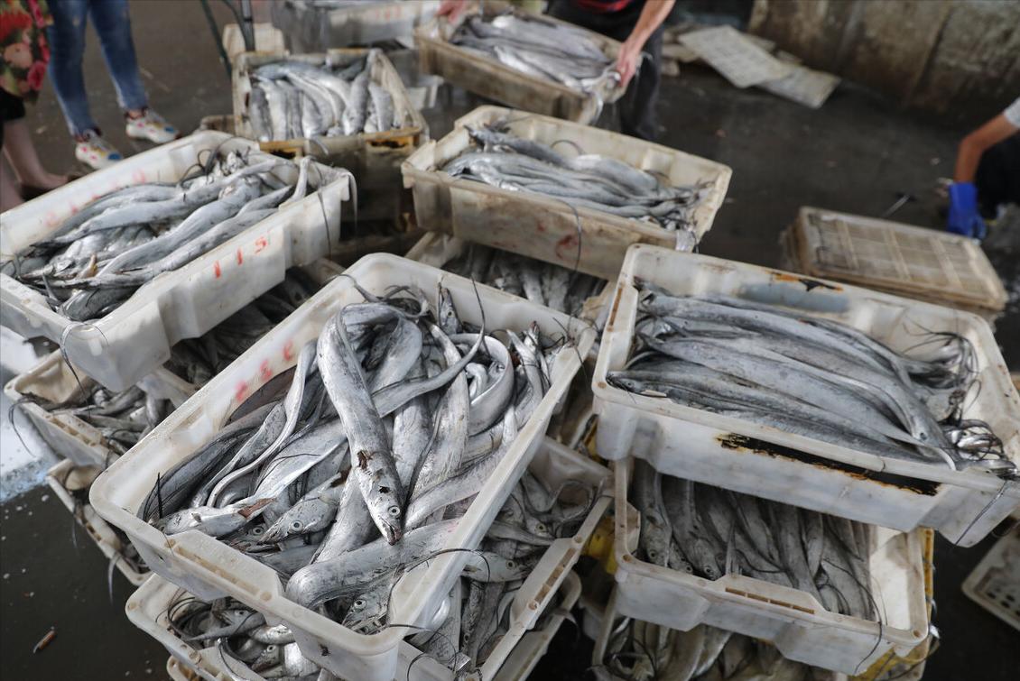 买带鱼是白霜多的好还是少的好,郑州海鲜市场带鱼怎么分辨好坏