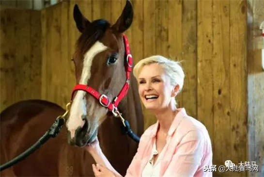 千万不要放弃一件事情,千万不要轻易的放弃