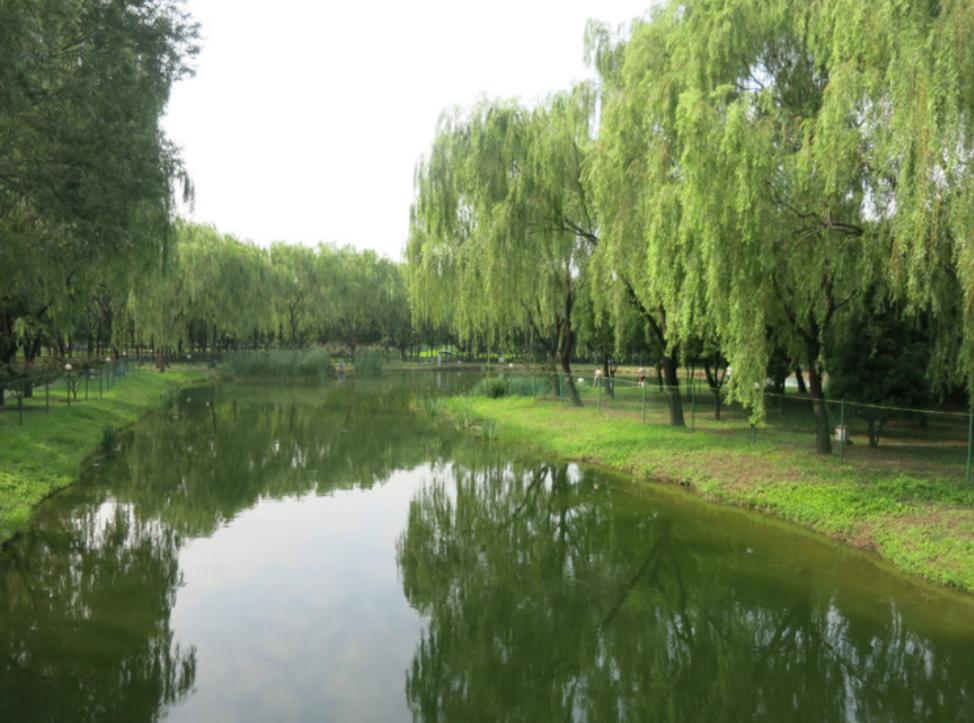 北京古塔公园历史,北京唯一湿地公园