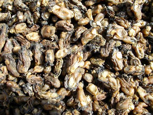 牡蛎鹿食丸药食同源,生牡蛎是药食同源