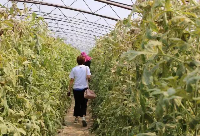 德国平民旅行车,不到20万买旅行车