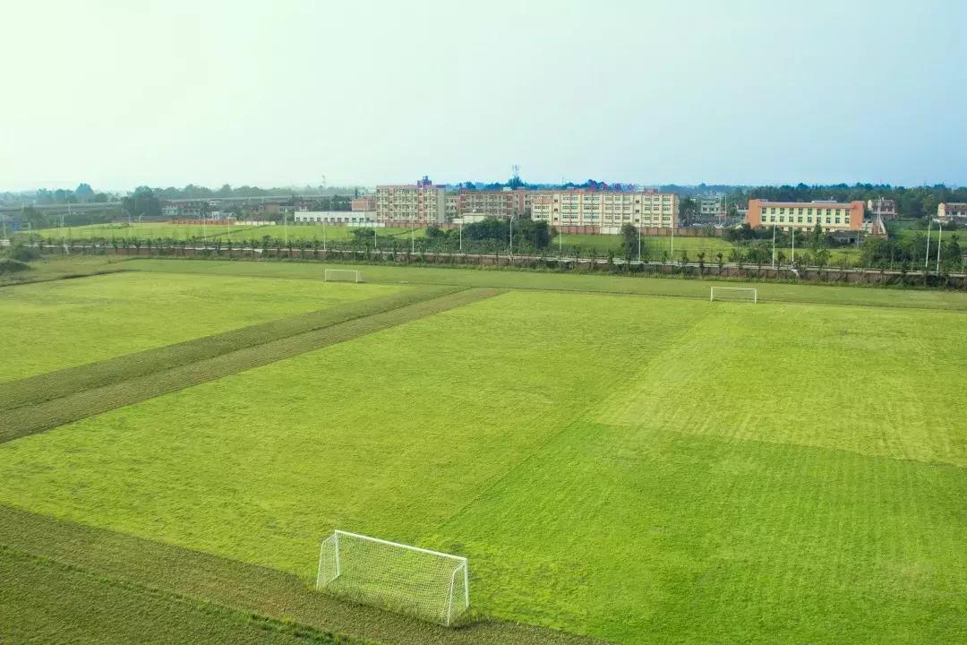 贡嘎杯足球赛四川大学女子,锦江区五人制足球比赛