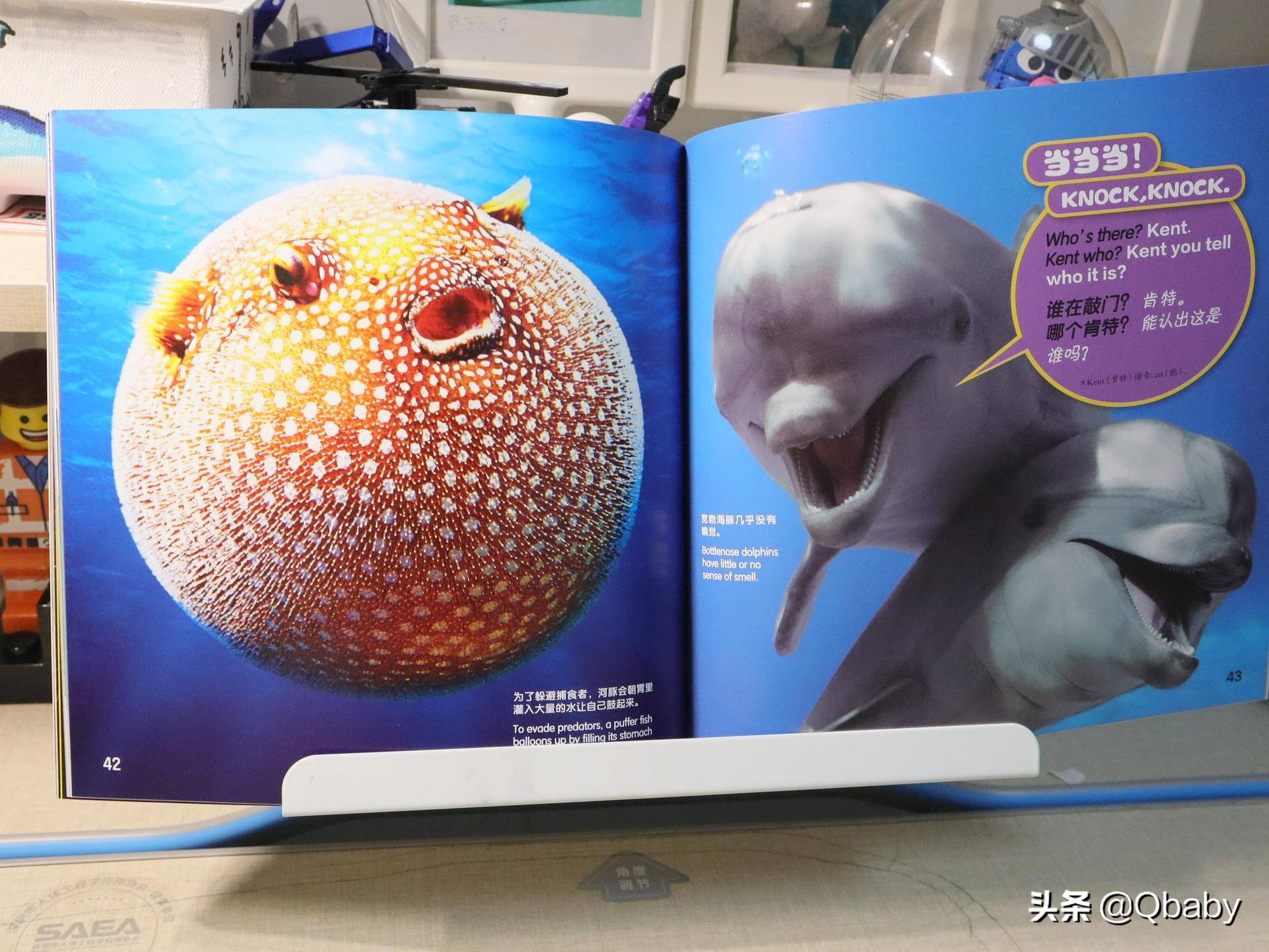 好书推荐一起玩吧绘本故事,康康绘本100本