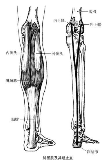 踝关节体态评估,体态评估如何评估踝关节内外翻