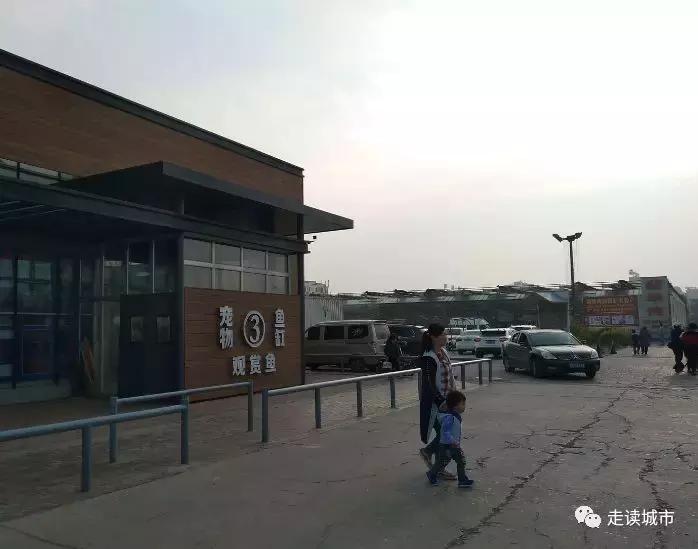 走读城市之廊坊安次(八):九天休闲谷