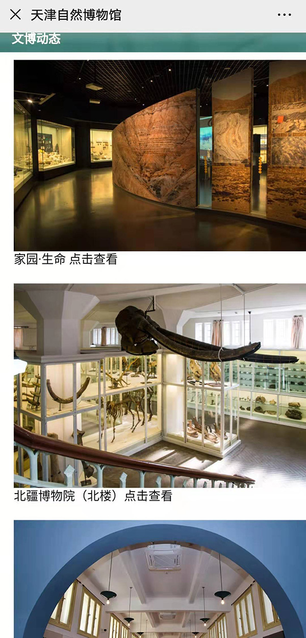 天津能逛的博物馆,天津人逛博物馆