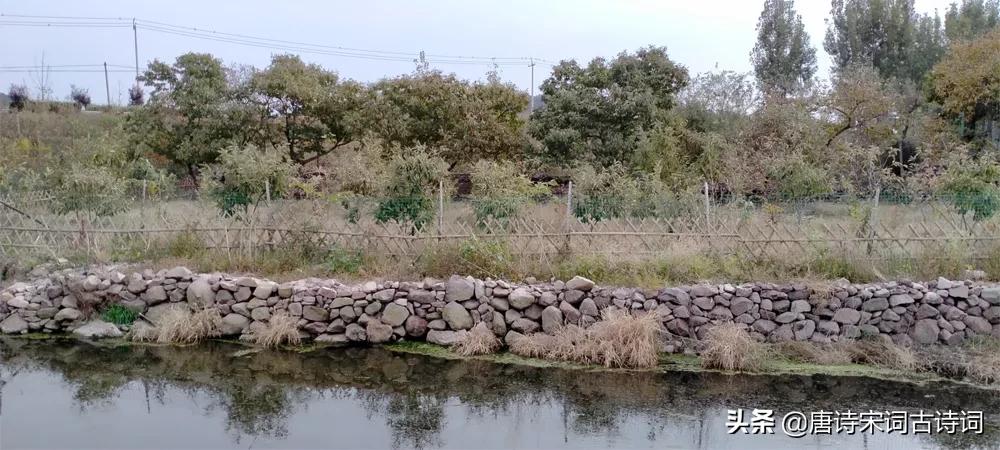 深山藏幽谷小桥无人家,深山美景藏不住小村庄