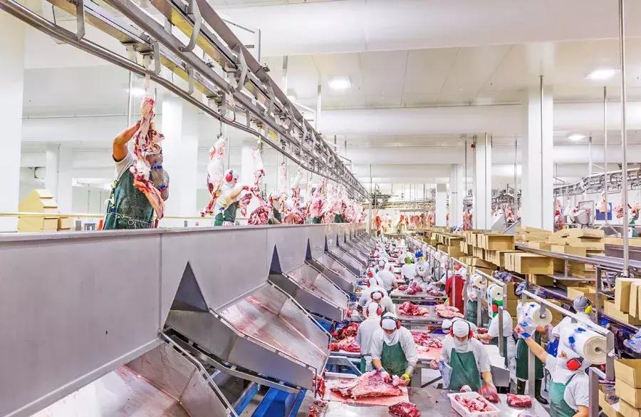 丝路先锋⑤新希望集团：“一带一路”上的跨界转型，刘永好在下一盘大棋