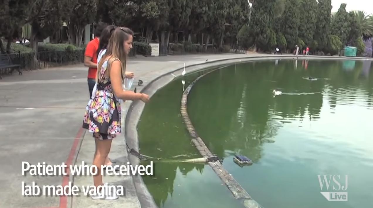 美国人造子宫实验成功,荷兰科学家发现人体新器官