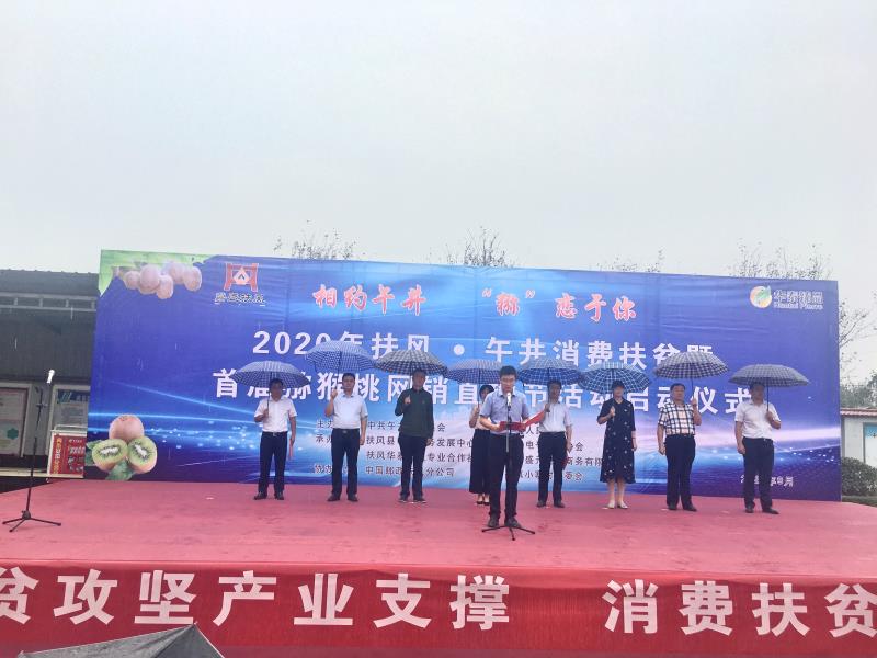 午井猕猴桃展销,陕西宝鸡扶风县午井镇猕猴桃