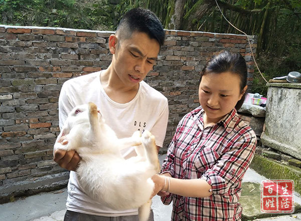 玉皇山下好*光春**