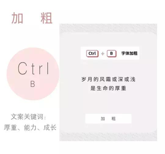 职场人必会的快捷键指南,职场实用快捷键速速get