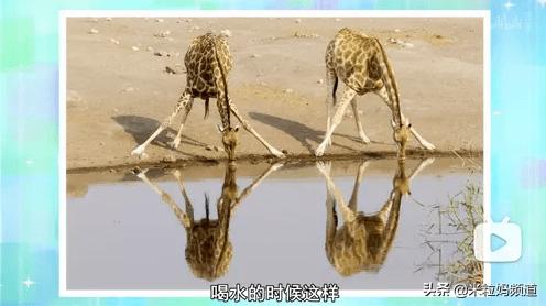 年度惊喜电影,8部科普必看的动画片