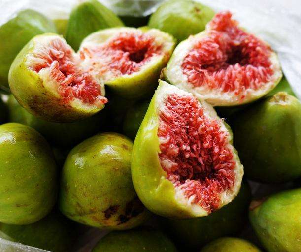 超高密植无花果栽培技术,无花果栽培技巧