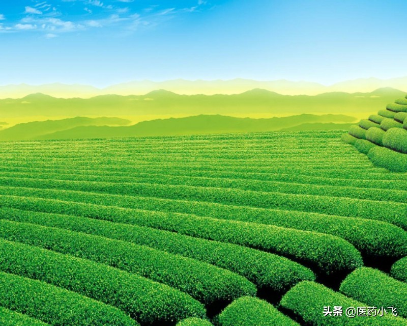 兰索拉唑肠溶胶囊,兰索拉唑每天吃有不良反应