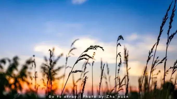 山东龙口夏天温度,龙口夏天的海风