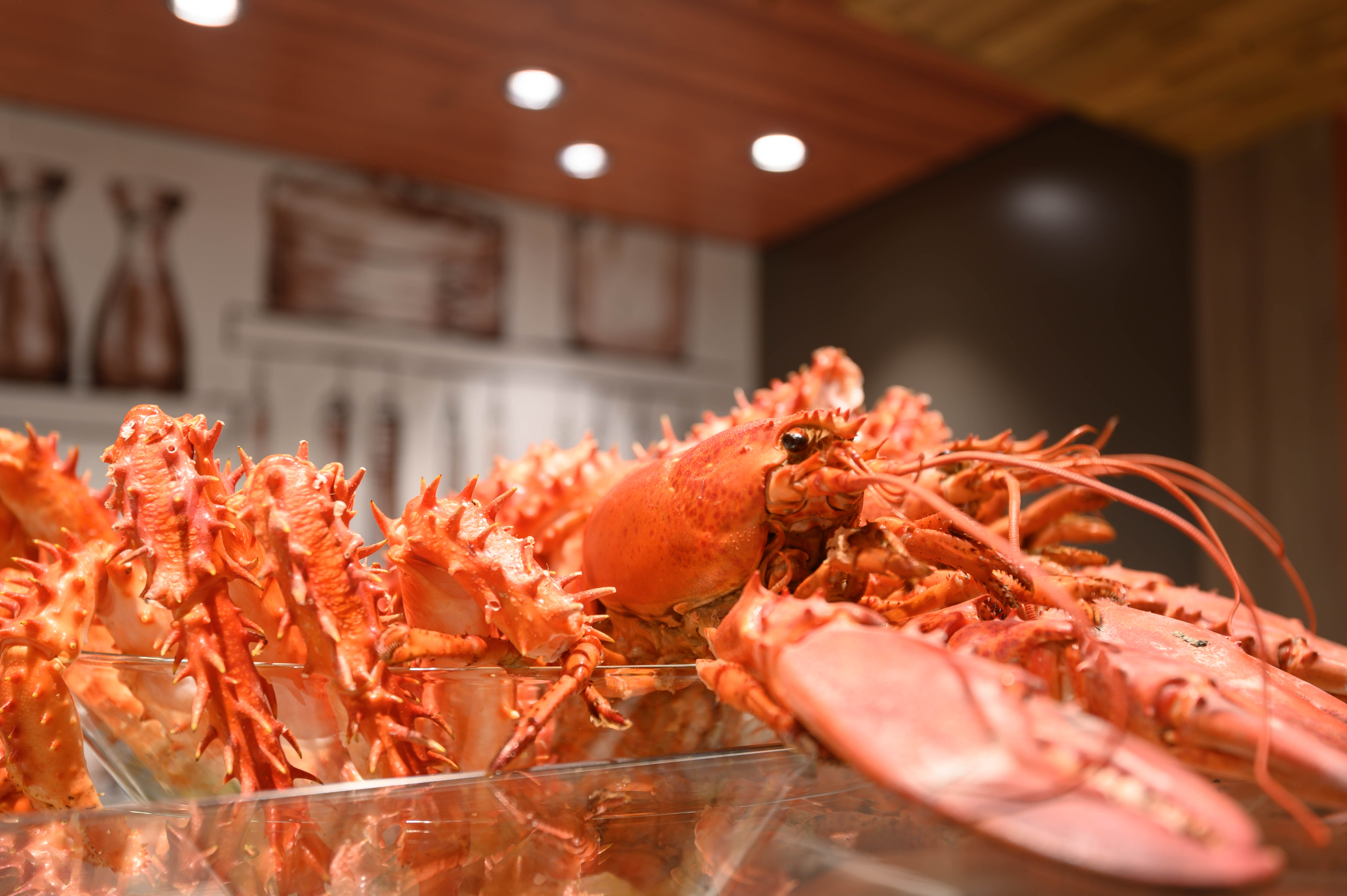 世界第一艘豪华邮轮,世界最大豪华邮轮首航