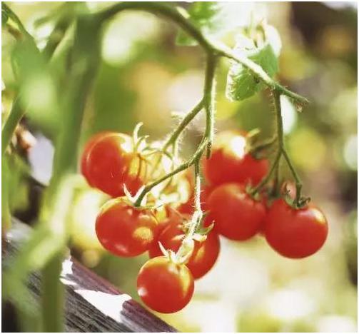 怎么治疗慢性前列腺炎,慢性前列腺炎尿频严重