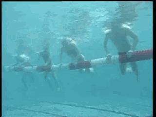 自由泳滚翻转身蹬壁,前滚翻动作练习方法步骤