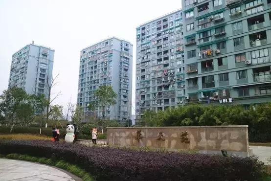 杭州好消息,杭州通报表扬