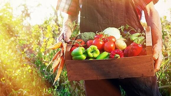 本来生活冷链,本来生活生鲜旗舰店肉干