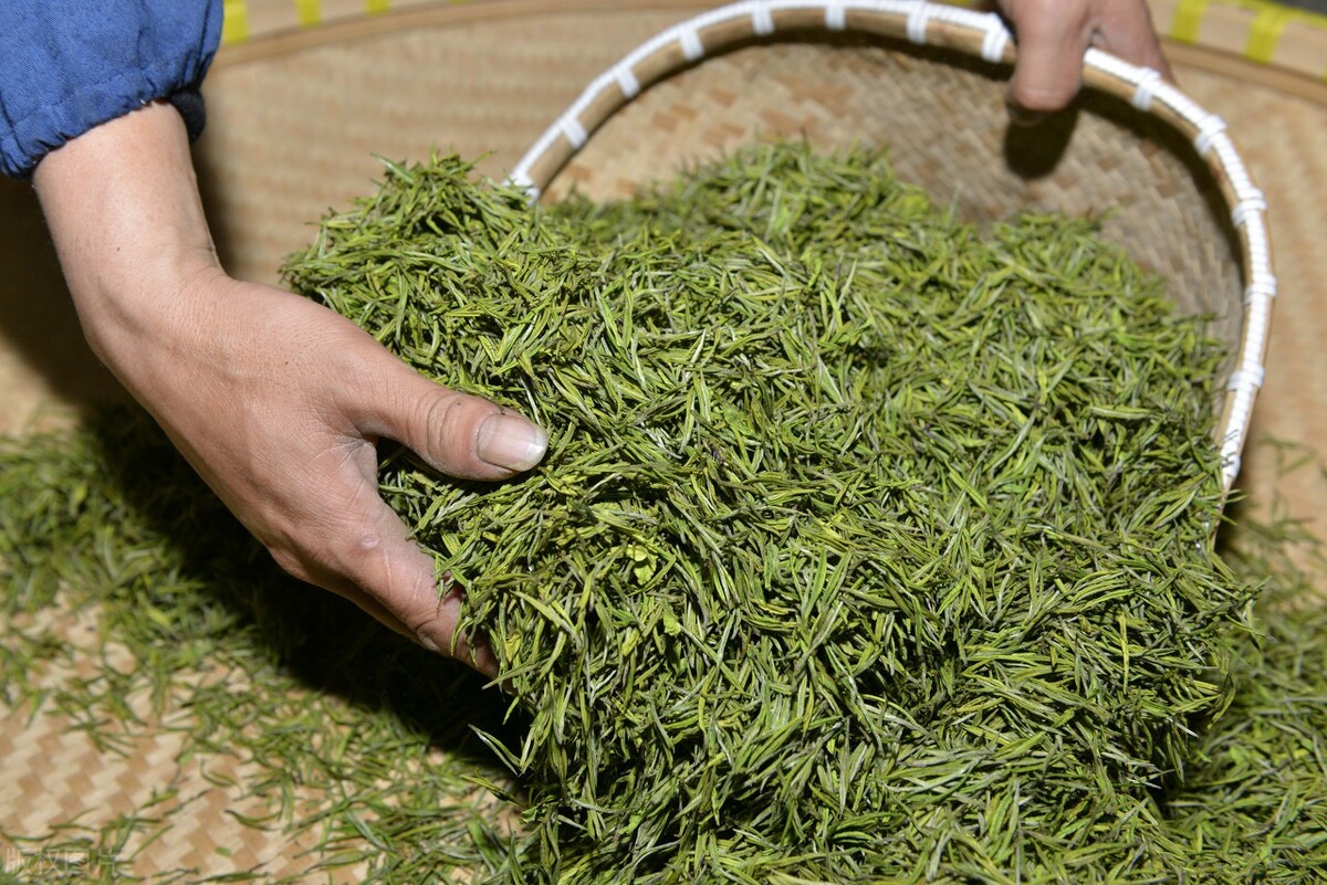 福鼎白茶五大品牌高档,福鼎白茶五大品牌高档你购买了吗