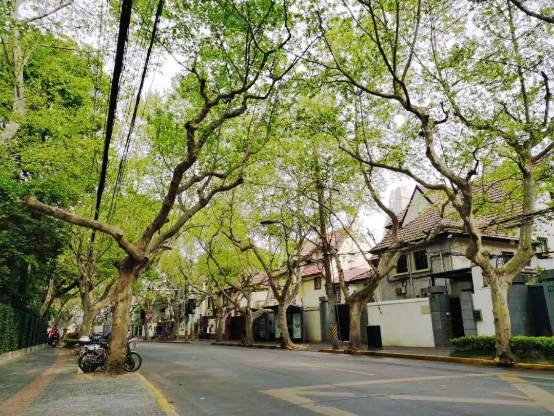 不出沪门之玩转魔都,不出沪上海周边旅游