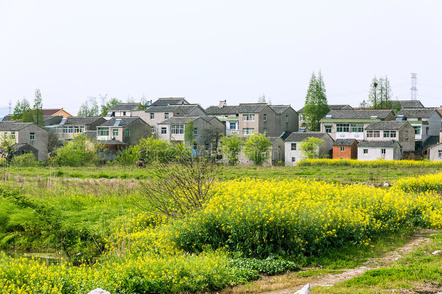 杂文系列六十二:乡村求医记