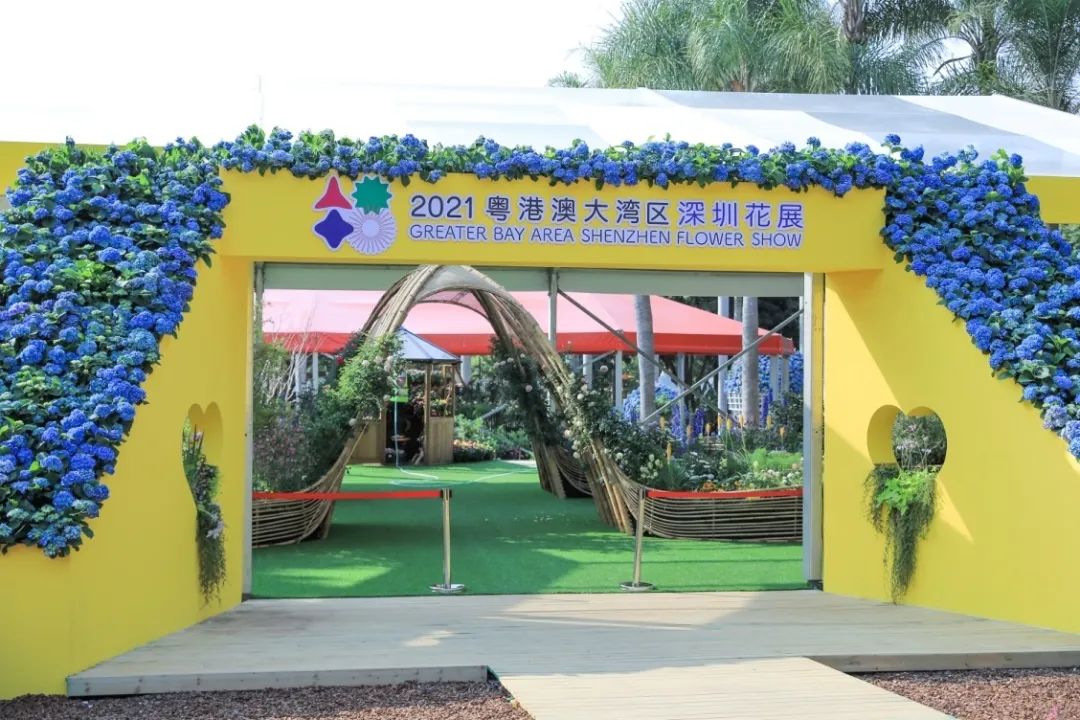 这个花展上的新优品种，为什么这么美？