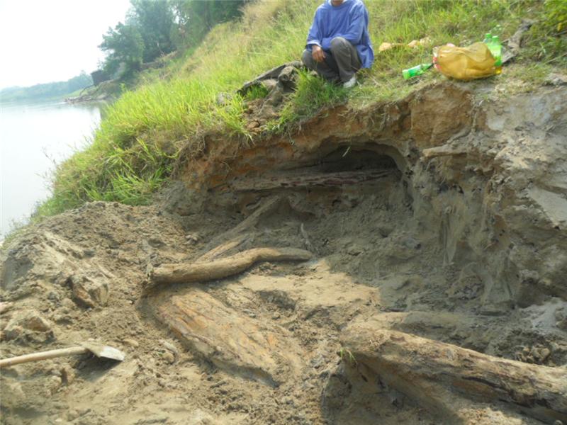 金丝楠木清皇帝龙椅,千年阴沉木皇宫椅