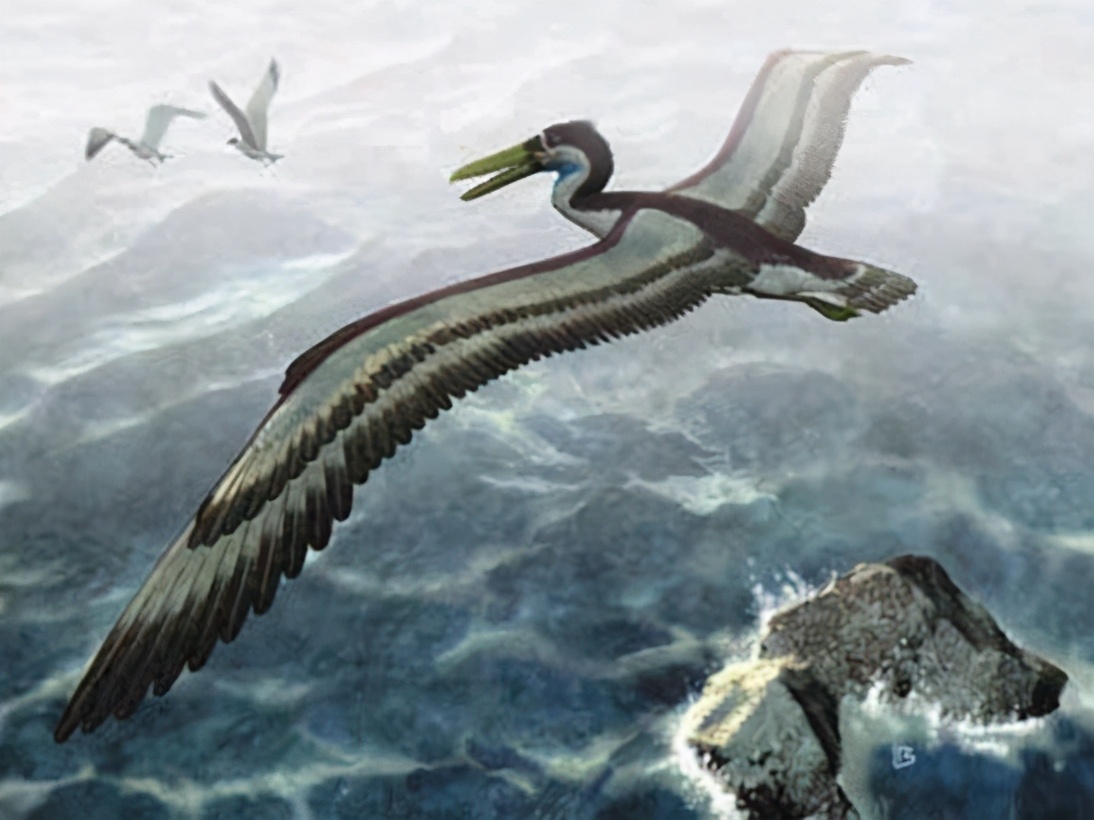 有蛇的地方养鹅,大鹅粪便真的能杀死蛇吗